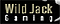 wild-jack-casino02